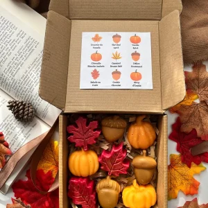 Coffret de 9 fondants parfumés d'Automne en forme de gland, de citrouille et de feuille d'Erable